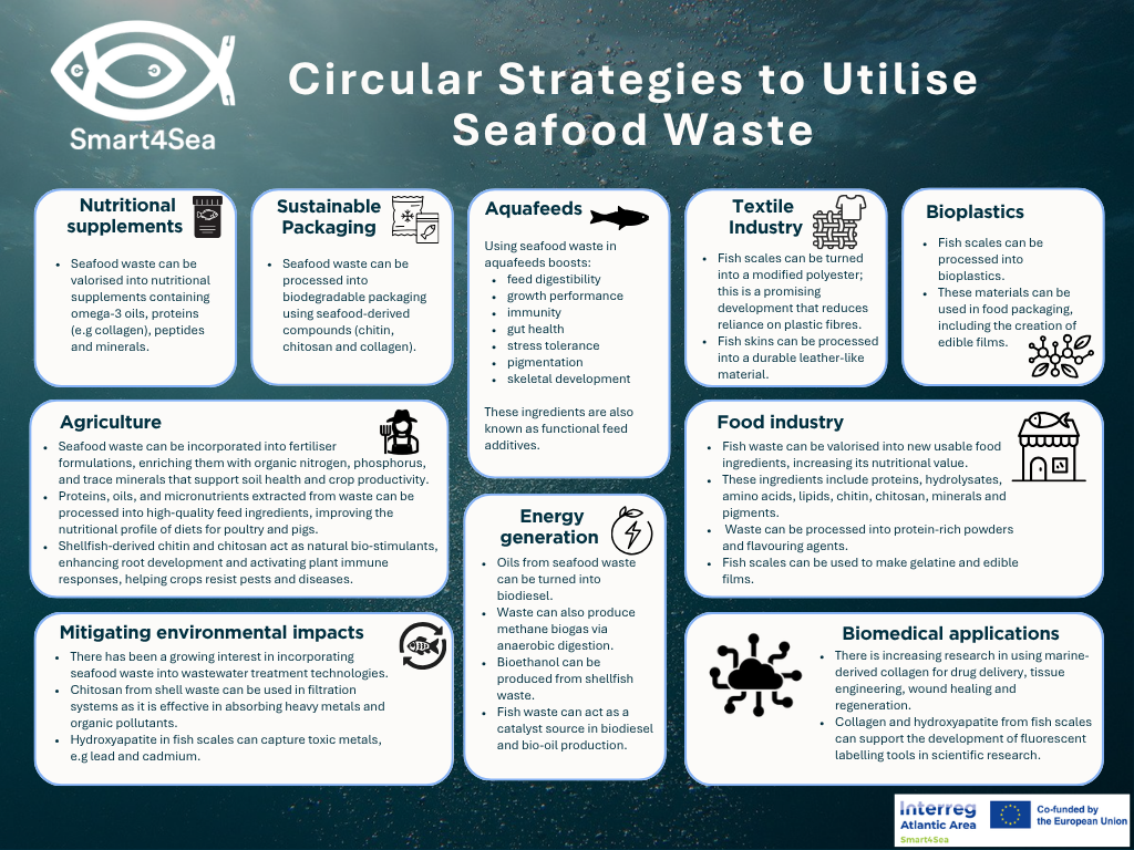 Circular strategies to utilise seafood loss and waste