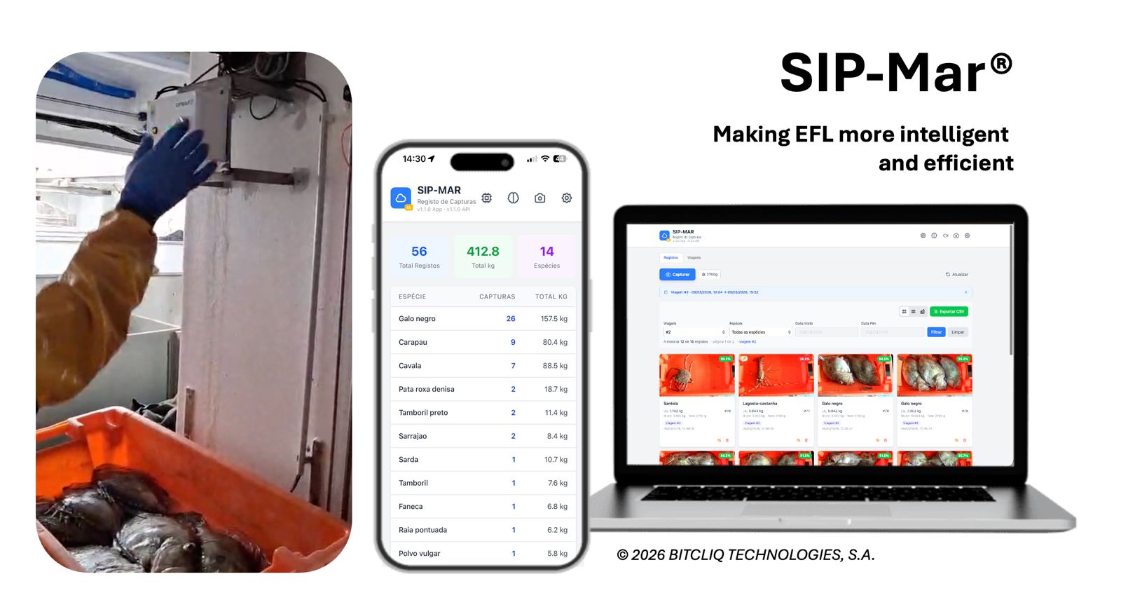 The blue economy: innovation for more sustainable fishing